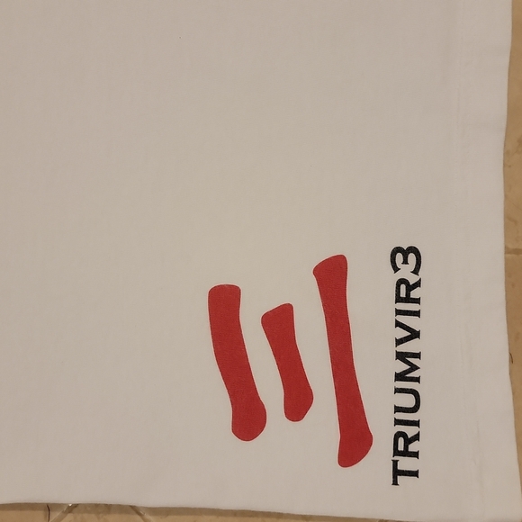 Bruce Lee Inspired Vintage - T-shirt for the Jordan Retro 1's - Picture 6 of 8